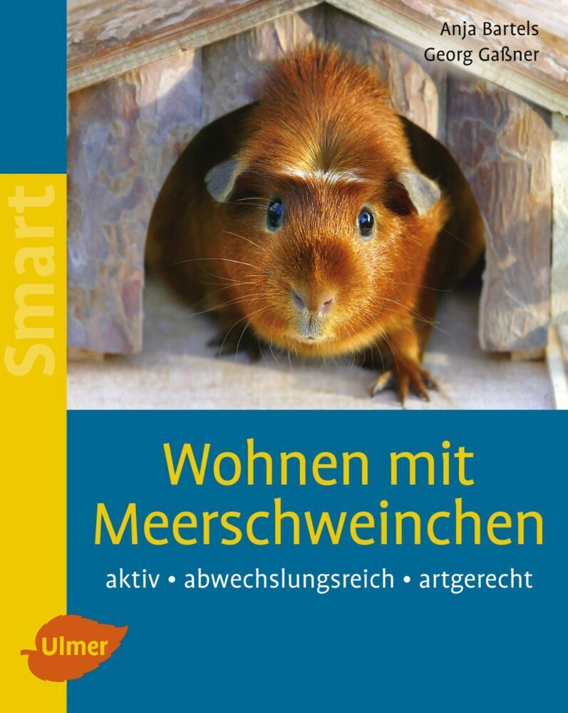 Cover: 9783800153923 | Wohnen mit Meerschweinchen | Aktiv - abwechslungsreich - artgerecht