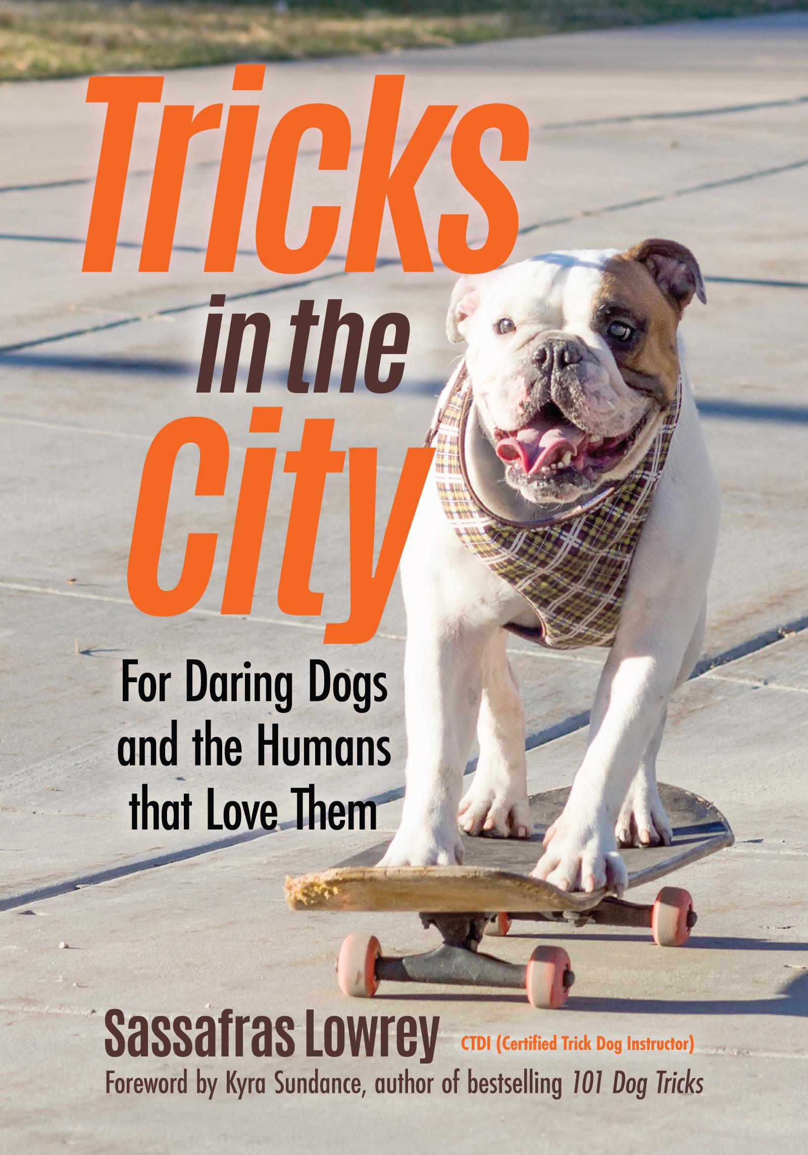 Bild: 9781642500394 | Tricks in the City | Sassafras Lowrey | Taschenbuch | Englisch | 2019