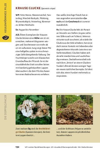 Bild: 9783966645249 | Pilze bestimmen - Der kleine Pilzführer für Einsteiger und...