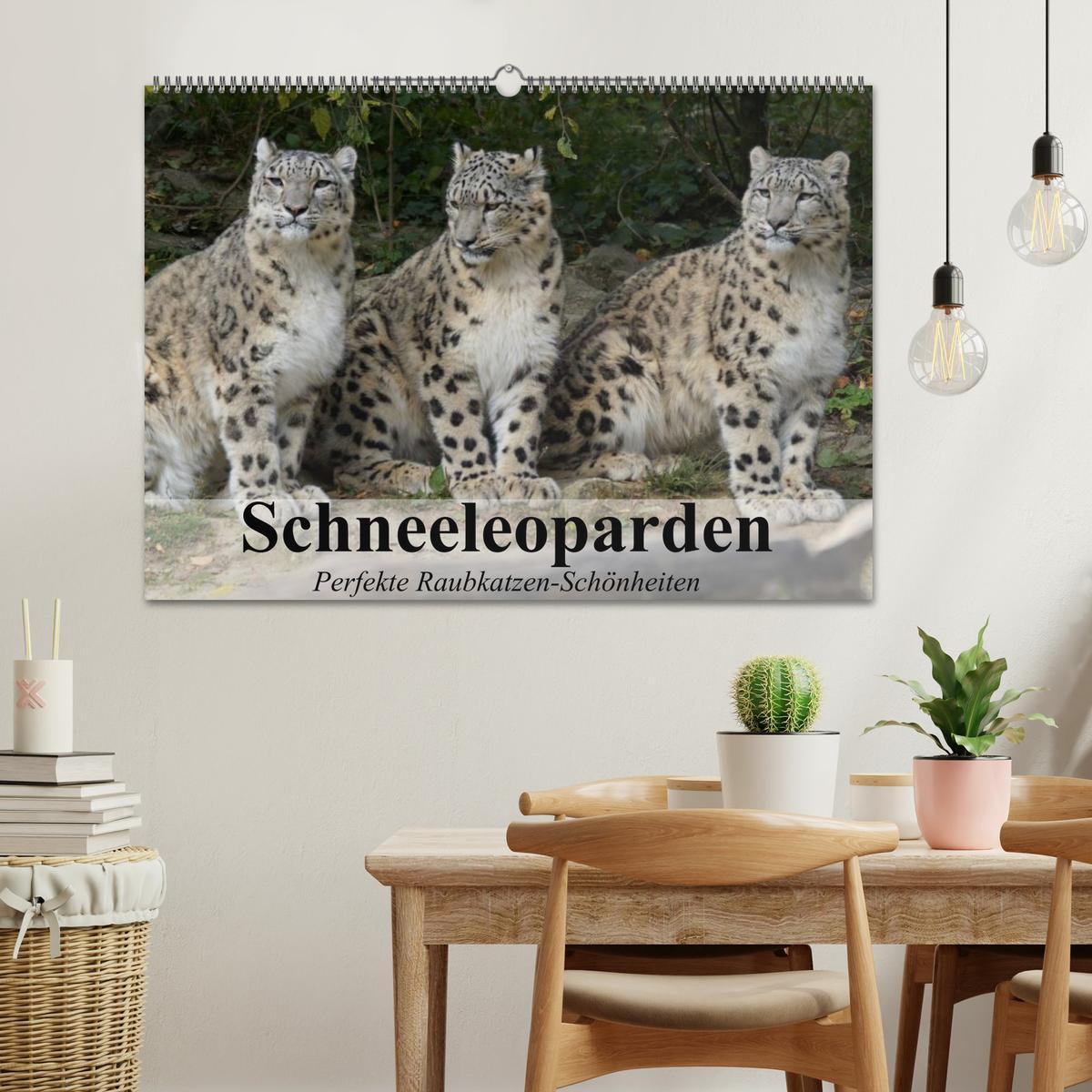 Bild: 9783435520497 | Schneeleoparden. Perfekte Raubkatzen-Schönheiten (Wandkalender 2025...