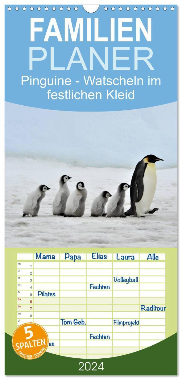 Cover: 9783383061370 | Familienplaner 2024 - Pinguine - Watscheln im festlichen Kleid mit...