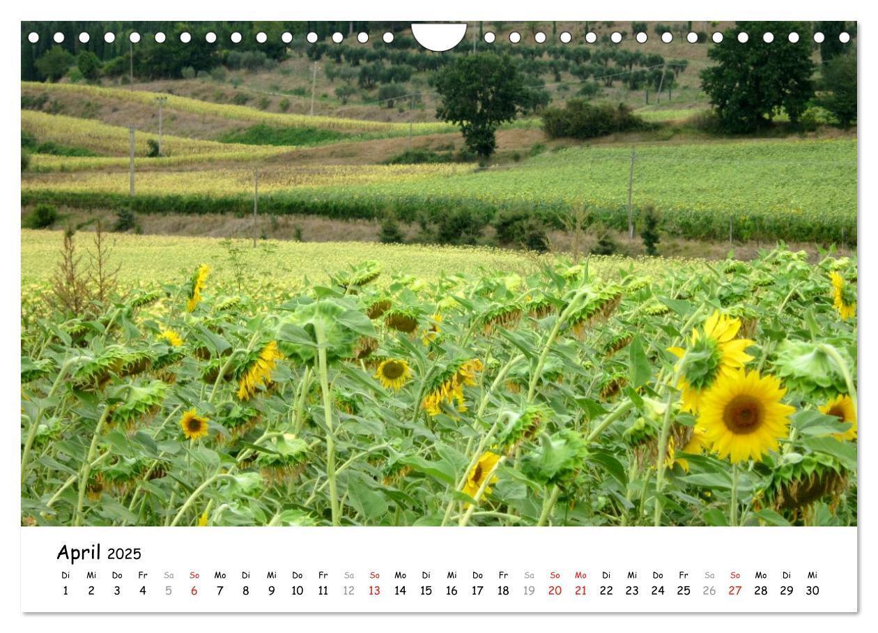 Bild: 9783435649747 | Camino di Assisi - Franziskusweg (Wandkalender 2025 DIN A4 quer),...