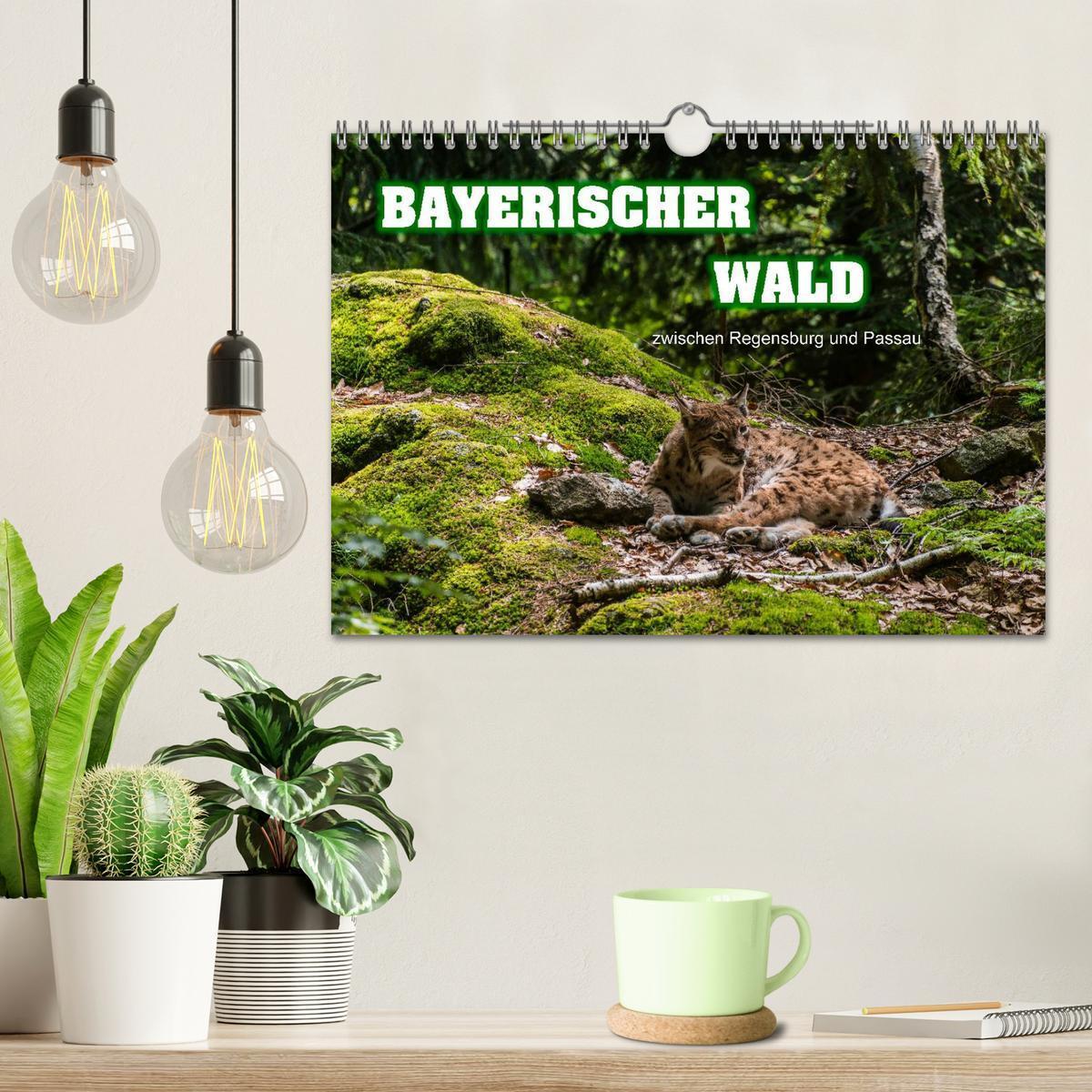 Bild: 9783435722778 | Bayerischer Wald (Wandkalender 2025 DIN A4 quer), CALVENDO...