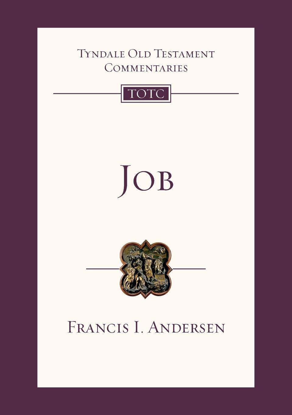 Cover: 9781844742912 | Job | Tyndale Old Testament Commentary | Francis I Andersen | Buch