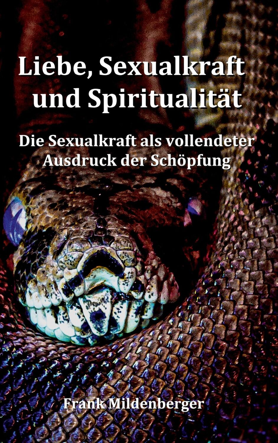 Cover: 9783757810665 | Liebe, Sexualkraft und Spiritualität | Frank Mildenberger | Buch