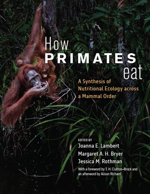 Cover: 9780226829753 | How Primates Eat | Jessica M. Rothman (u. a.) | Taschenbuch | Englisch