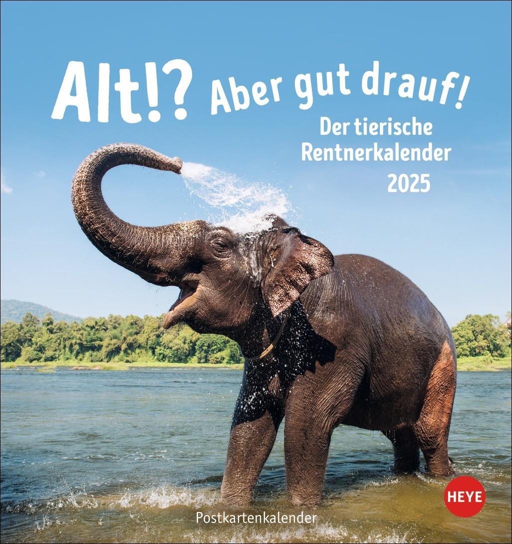 Cover: 9783756407187 | Alt! Aber gut drauf Postkartenkalender 2025 - Der tierische...
