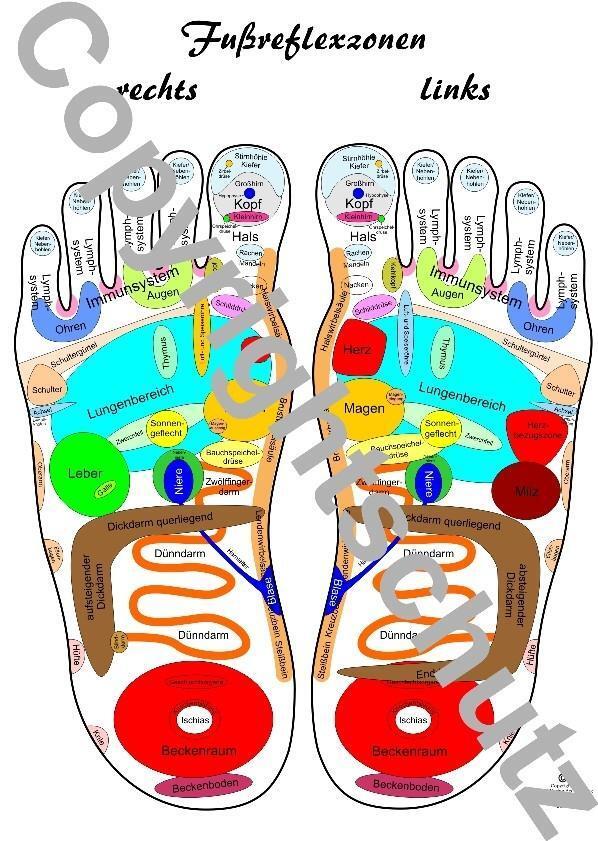 Cover: 9783940832269 | Fußreflexzonenübersicht | Karte DIN A5 | Tanja Aeckersberg | Poster