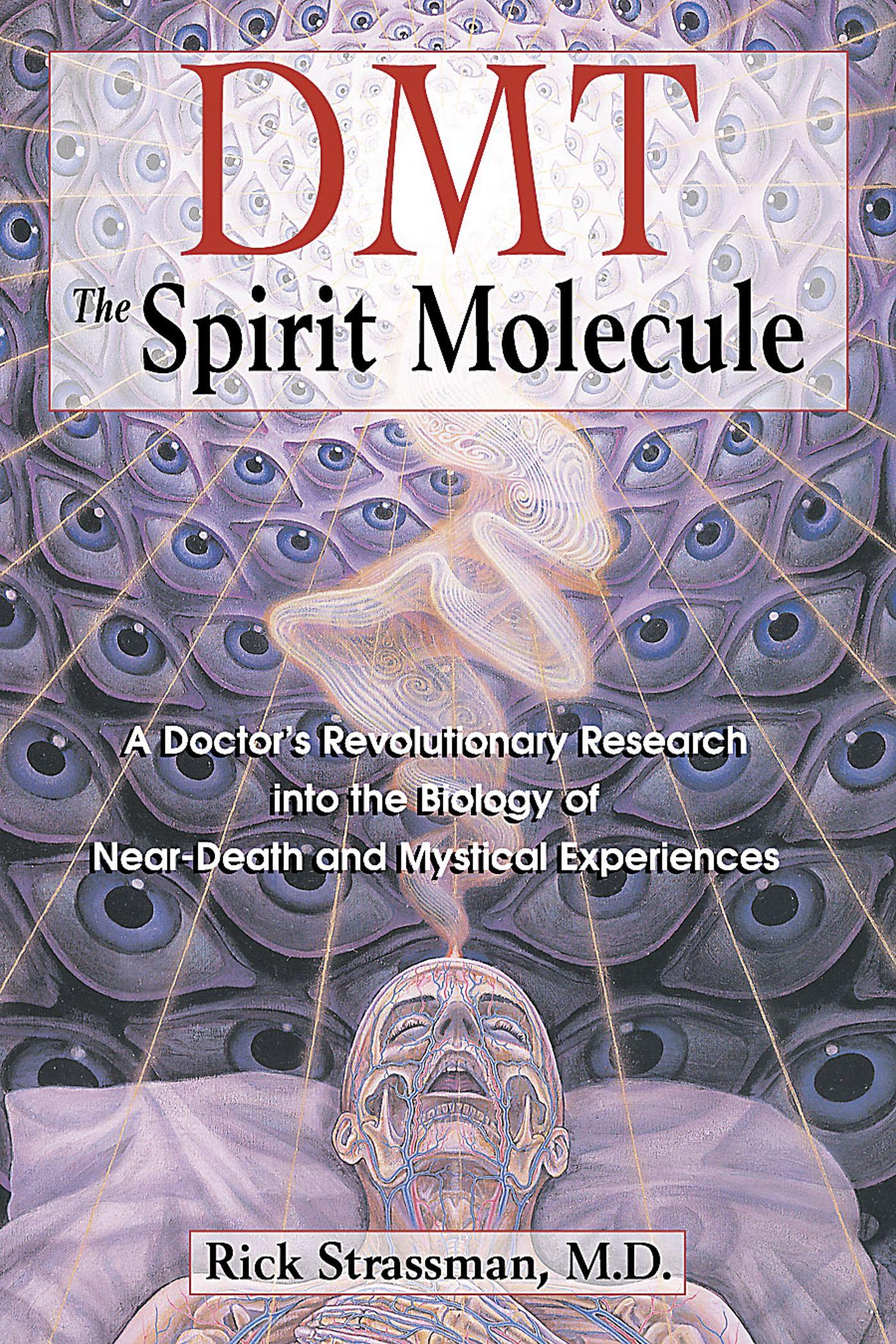 Cover: 9780892819270 | Dmt : the Spririt Molecule | Rick, MD Strassman | Taschenbuch | 2017