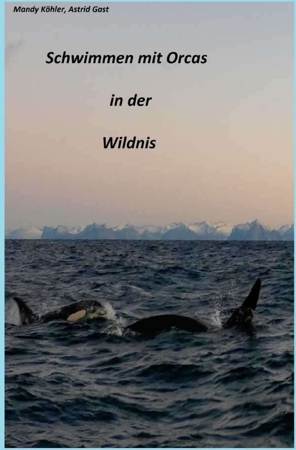 Cover: 9783741879166 | Schwimmen mit Orcas in der Wildnis | Mandy Köhler | Taschenbuch | 2016