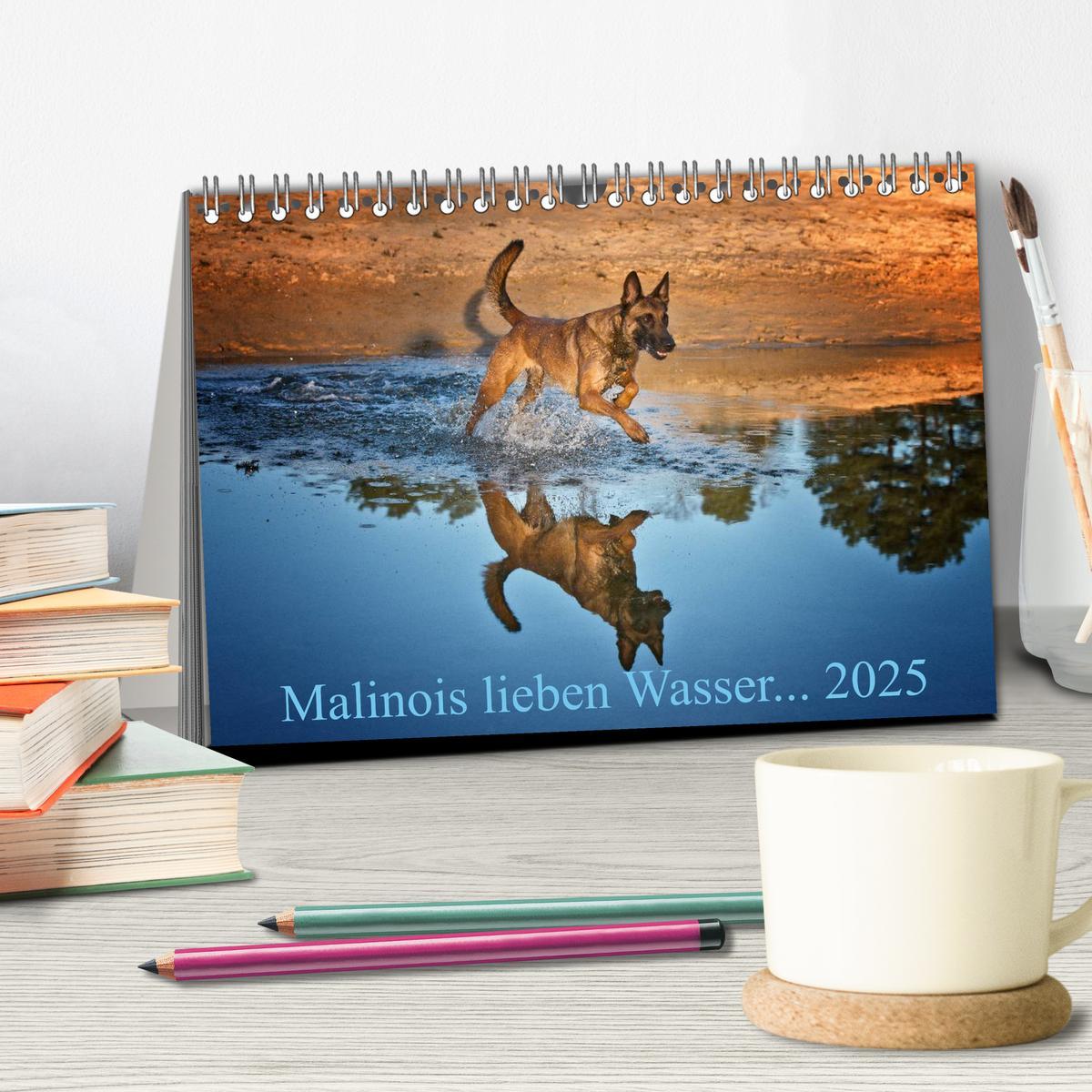 Bild: 9783435519262 | Malinois lieben Wasser (Tischkalender 2025 DIN A5 quer), CALVENDO...