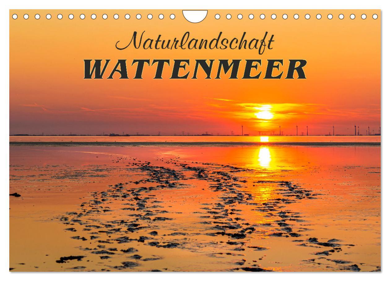 Cover: 9783435004072 | Naturlandschaft WATTENMEER (Wandkalender 2025 DIN A4 quer),...