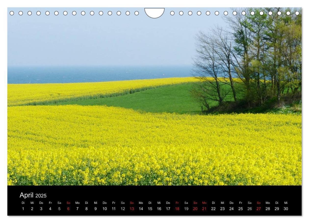 Bild: 9783435509157 | land und leben (Wandkalender 2025 DIN A4 quer), CALVENDO...