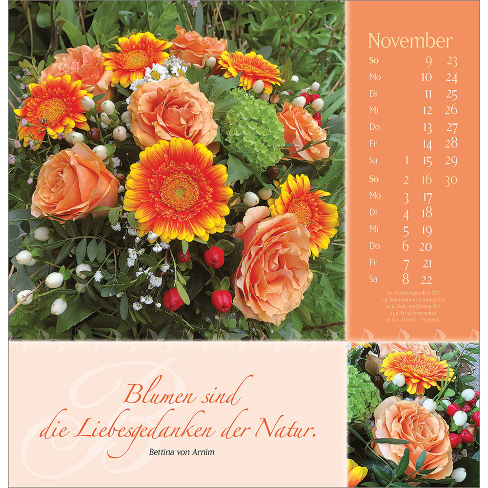 Bild: 9783754825051 | Rosenduft mit guten Wünschen 2025 | Doro Zachmann | Kalender | 14 S.