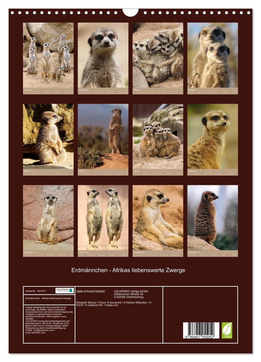 Bild: 9783457055052 | Erdmännchen - Afrikas liebenswerte Zwerge (Wandkalender 2025 DIN A3...