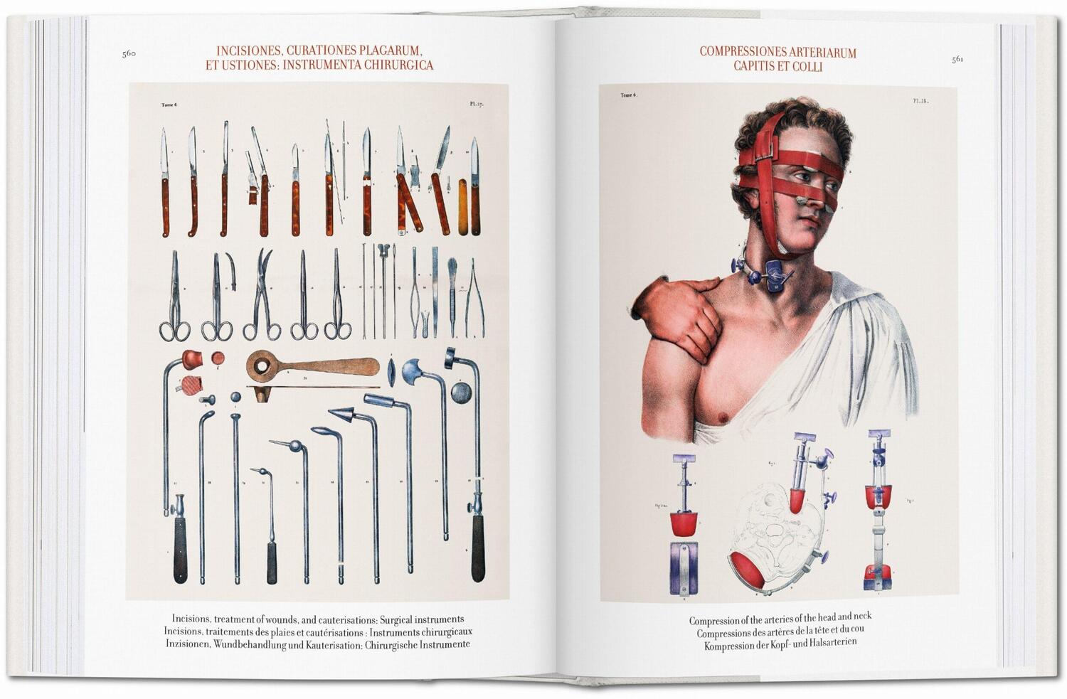 Bild: 9783836556620 | Jean Marc Bourgery. Atlas of Human Anatomy and Surgery | Minor (u. a.)