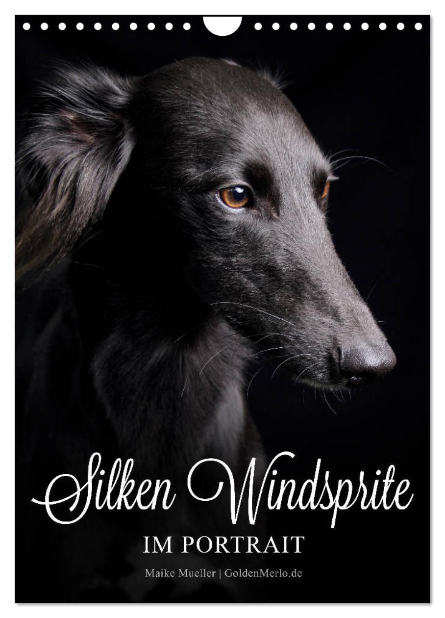 Cover: 9783435997886 | Silken Windsprite im Portrait (Wandkalender 2025 DIN A4 hoch),...