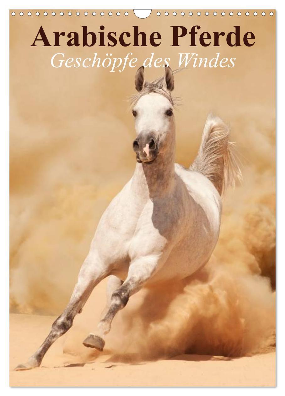 Cover: 9783457056943 | Arabische Pferde ¿ Geschöpfe des Windes (Wandkalender 2025 DIN A3...