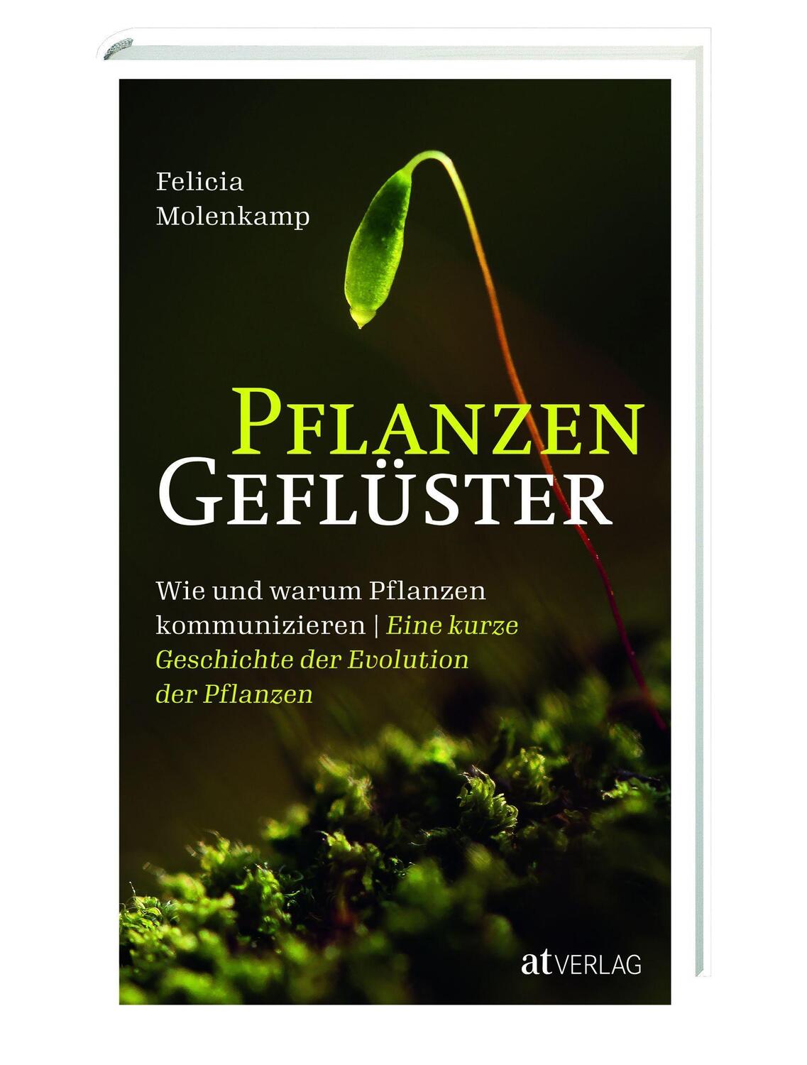 Cover: 9783039020294 | Pflanzengeflüster | Felicia Molenkamp | Buch | Deutsch | 2020