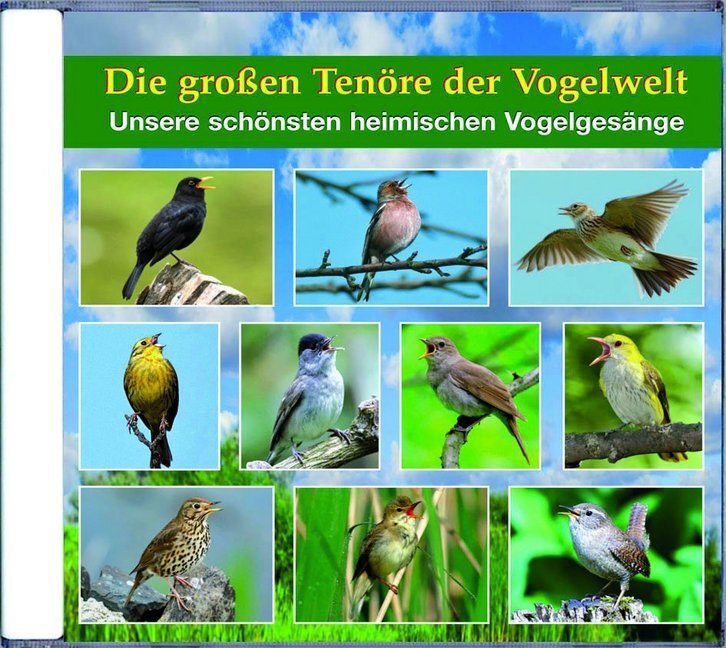 Cover: 9783938147535 | Die großen Tenöre der Vogelwelt, 1 Audio-CD | Karl-Heinz Dingler | CD