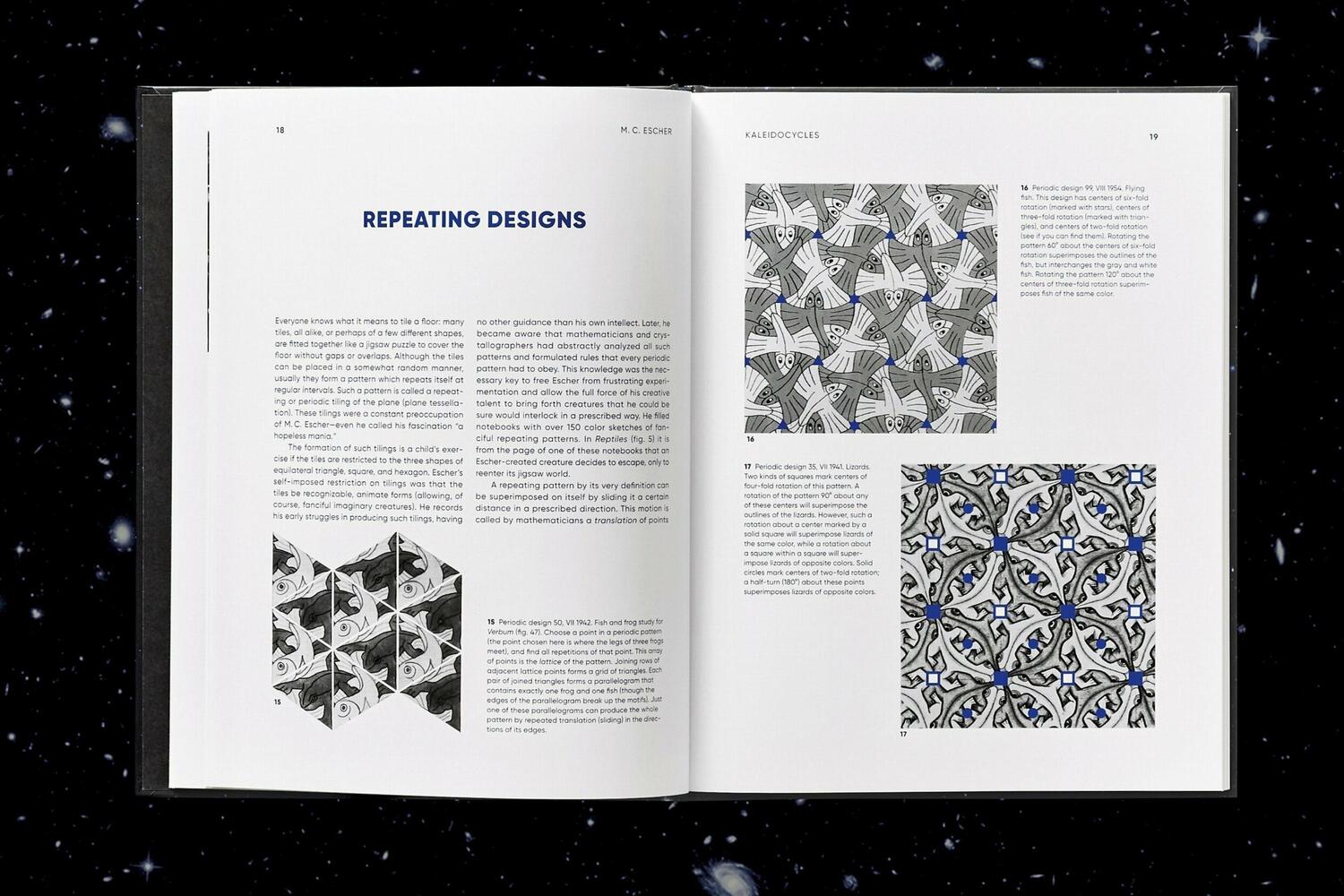 Bild: 9783836583688 | M.C. Escher. Kaleidozyklen | Doris Schattschneider (u. a.) | Buch