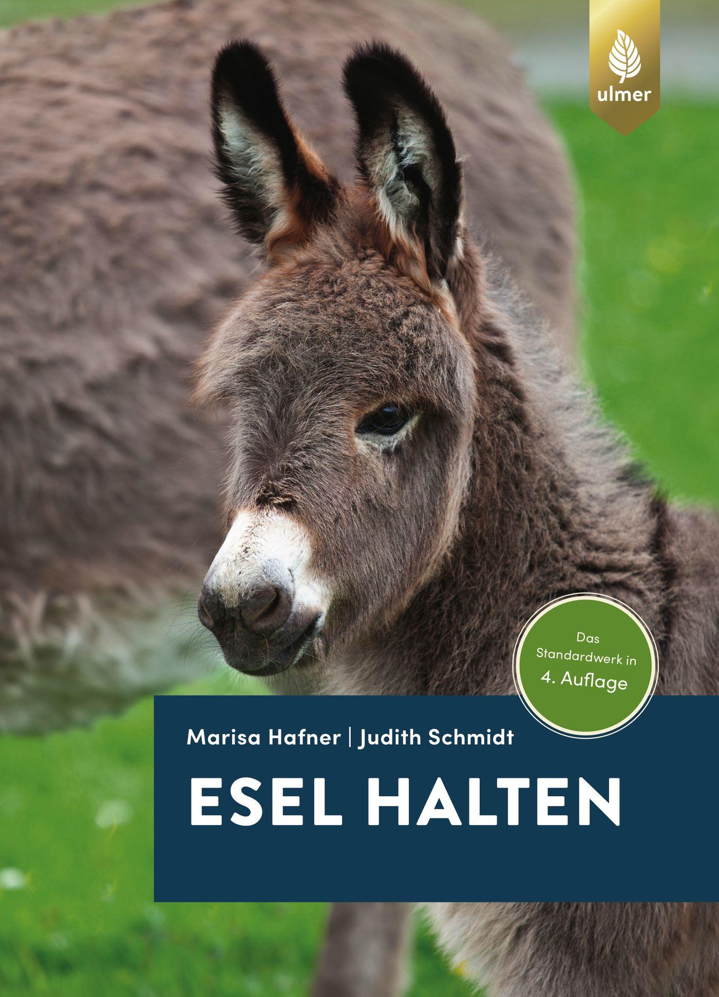 Cover: 9783818611484 | Esel halten | Das Standardwerk in der 4. Auflage | Hafner (u. a.)