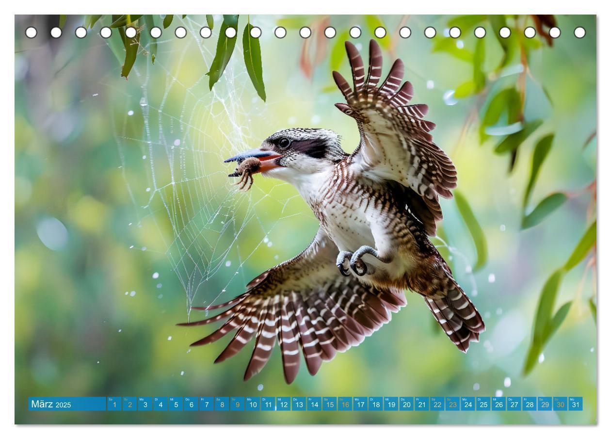 Bild: 9783383777936 | Der Kookaburra - Im australischen Busch mit dem lachenden Hans...