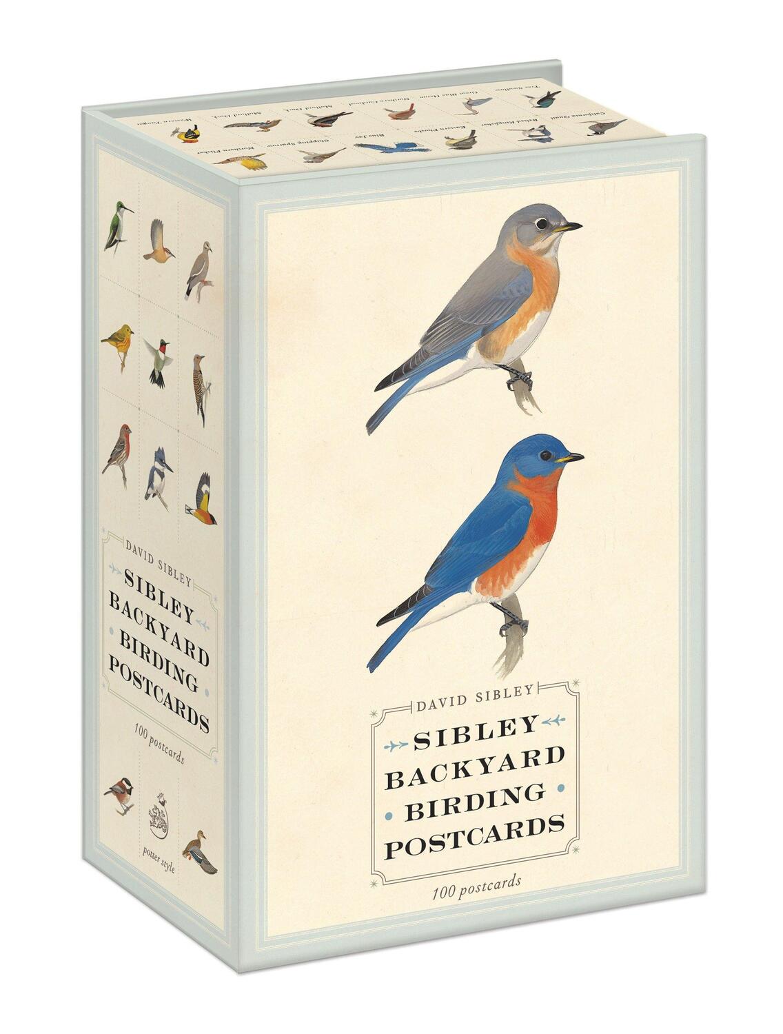 Cover: 9780770433963 | Sibley Backyard Birding Postcards | 100 Postcards | Sibley (u. a.)