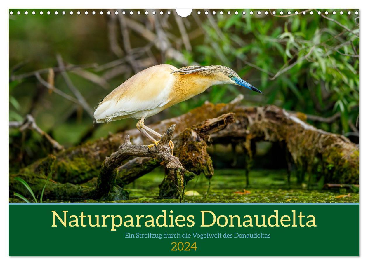 Cover: 9783675416376 | Naturparadies Donaudelta (Wandkalender 2024 DIN A3 quer), CALVENDO...