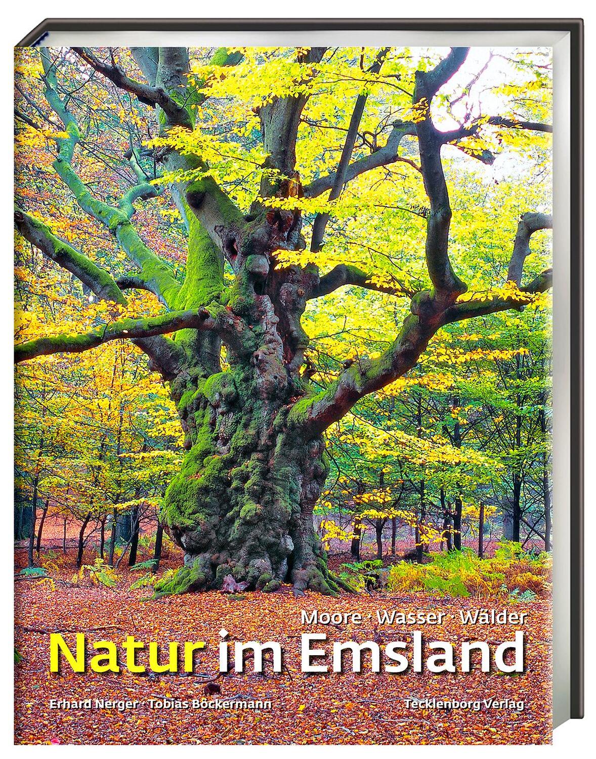 Cover: 9783939172475 | Natur im Emsland | Moore, Wasser, Wälder | Tobias Böckermann | Buch