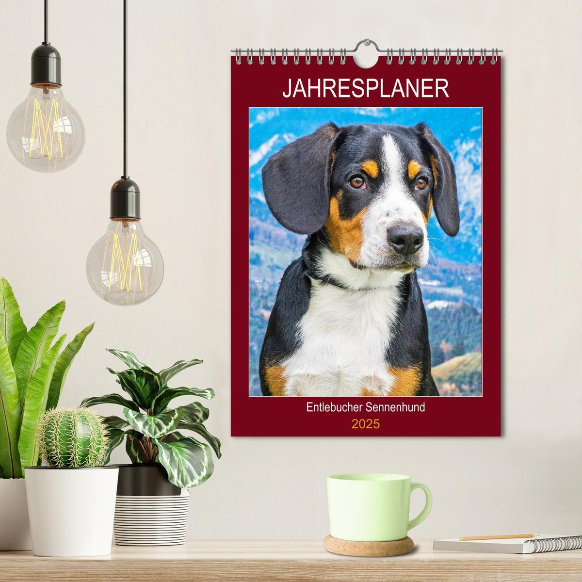 Bild: 9783435959198 | Jahresplaner Entlebucher Sennenhund (Wandkalender 2025 DIN A4...