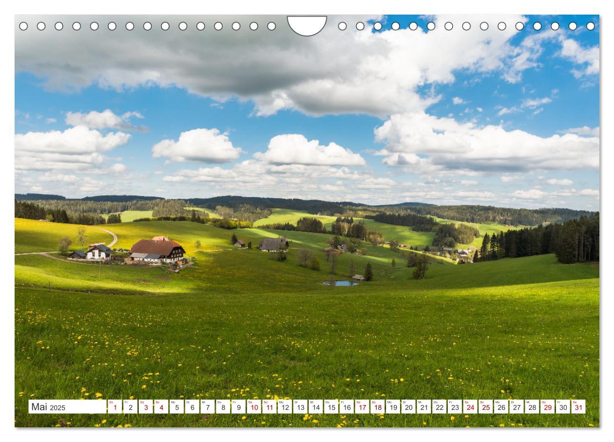 Bild: 9783435687831 | Schwarzwald (Wandkalender 2025 DIN A4 quer), CALVENDO Monatskalender