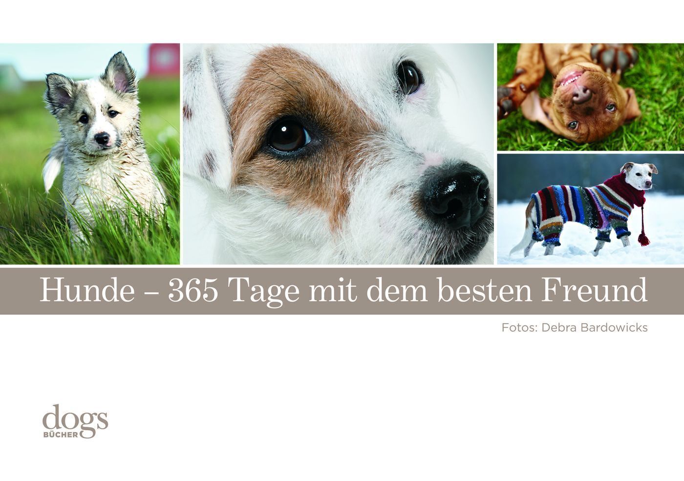 Cover: 9783800176571 | Hunde - 365 Tage mit dem besten Freund | Debra Bradowicks | Kalender