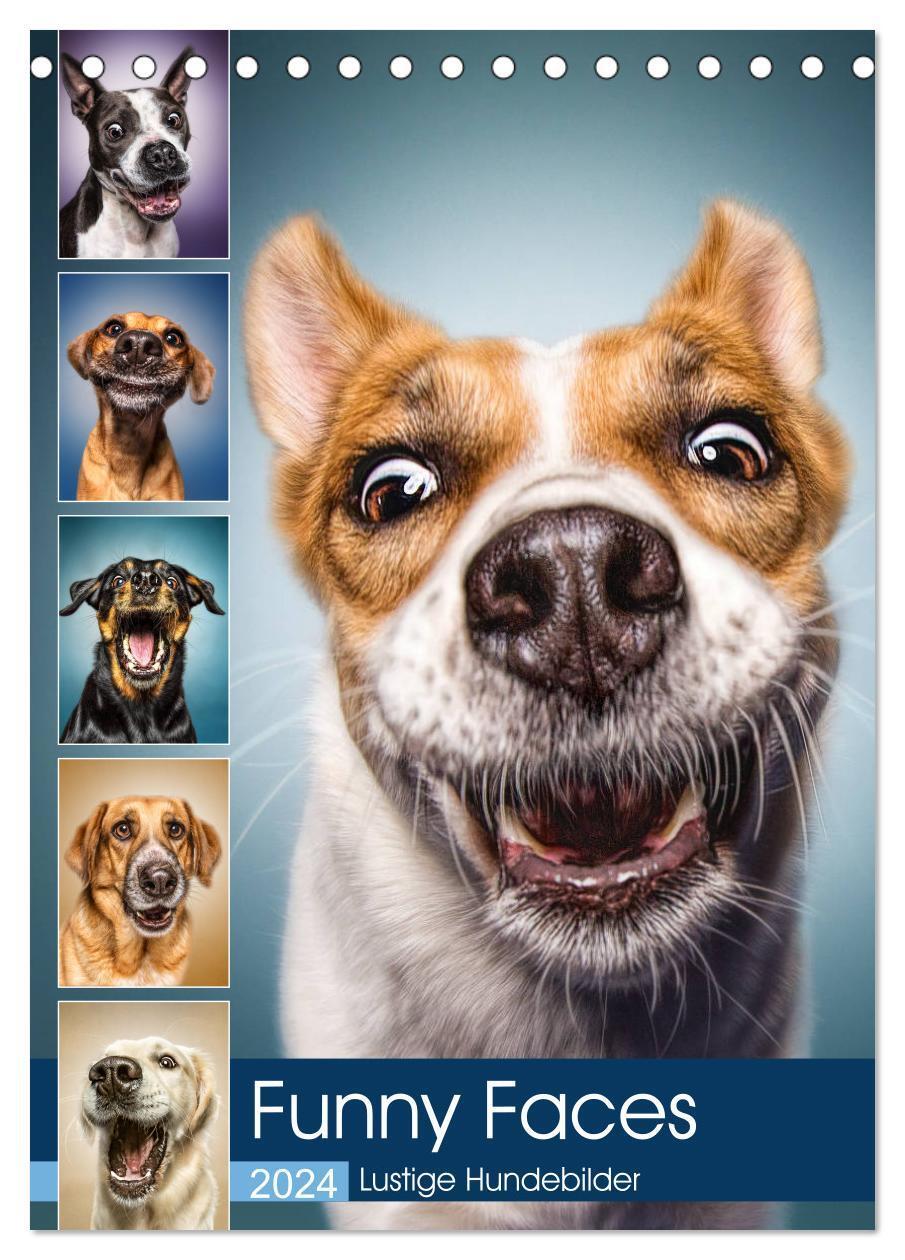 Cover: 9783675573833 | Funny Faces - Lustige Hundebilder (Tischkalender 2024 DIN A5 hoch),...