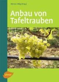 Cover: 9783800153206 | Anbau von Tafeltrauben | Werner Ollig | Taschenbuch | Deutsch | 2010