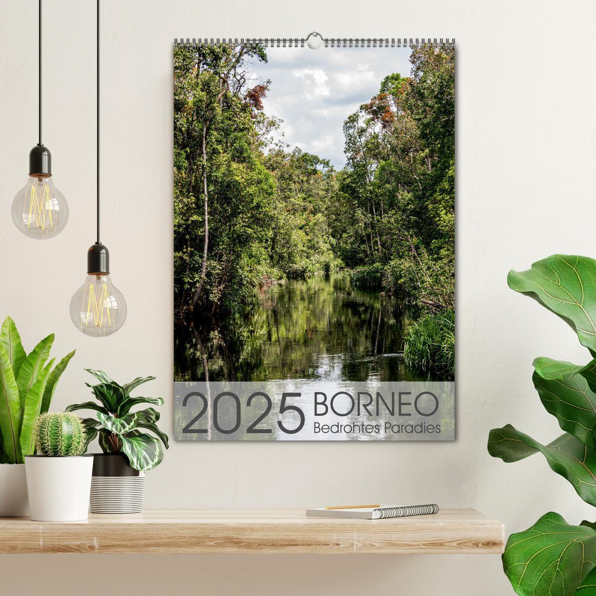 Bild: 9783435911103 | BORNEO Bedrohtes Paradies (Wandkalender 2025 DIN A2 hoch), CALVENDO...