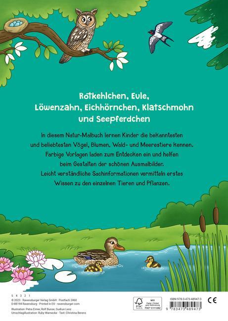 Bild: 9783473489473 | Ravensburger Mein großes Natur-Malbuch - heimische Waldtiere,...