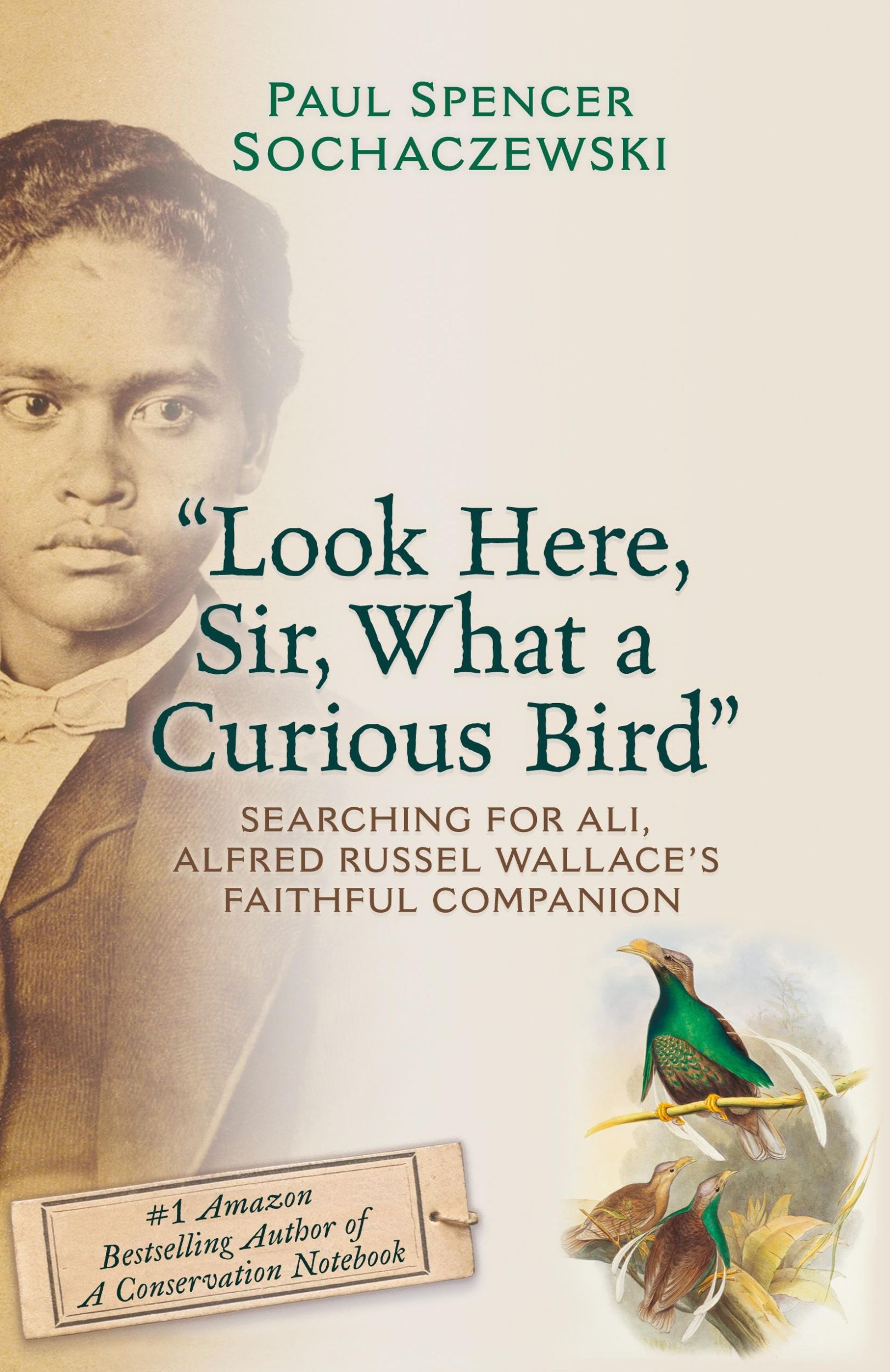 Cover: 9782940573417 | "Look Here, Sir, What a Curious Bird" | Paul Spencer Sochaczewski