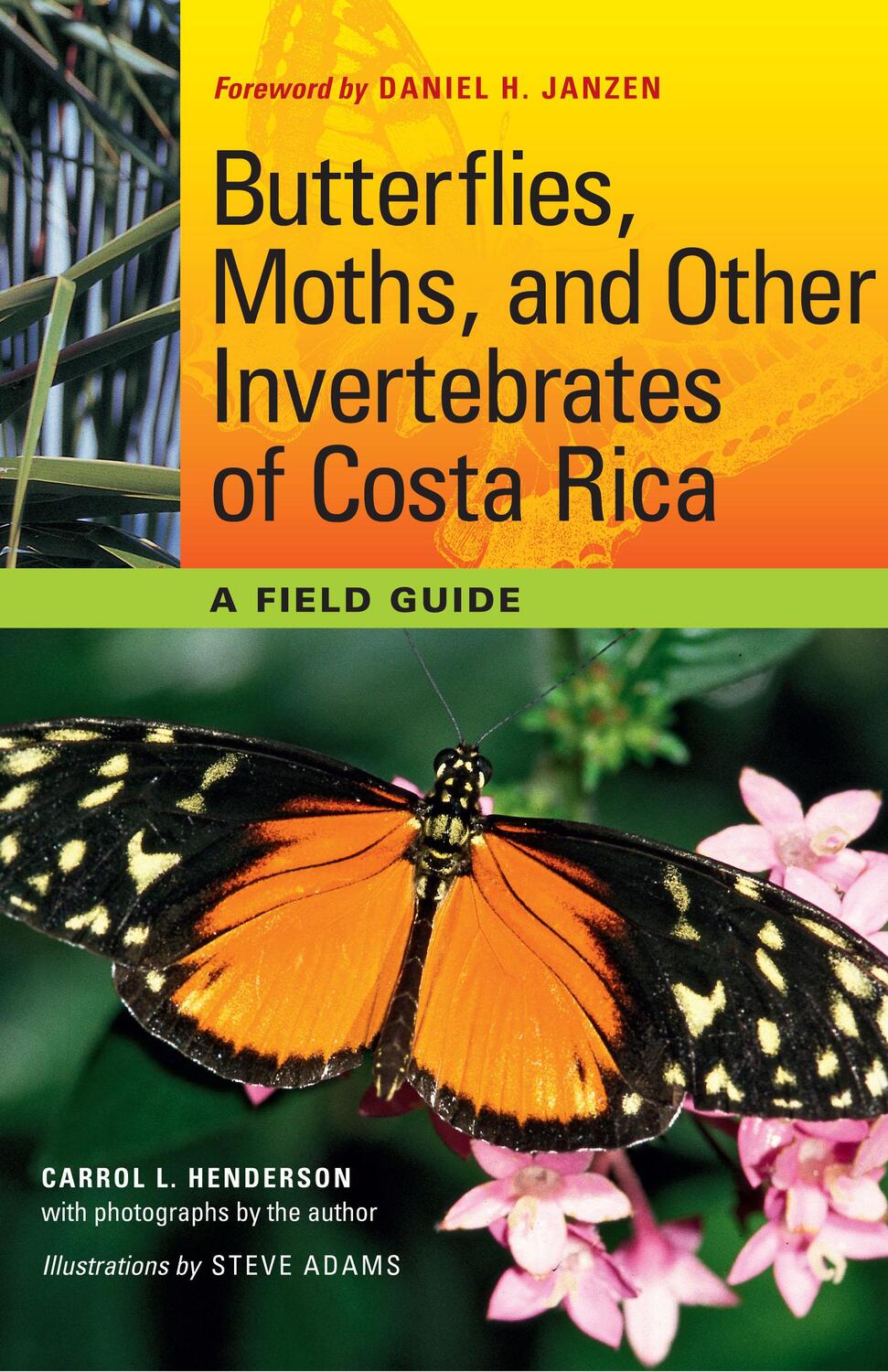 Cover: 9780292719668 | Butterflies, Moths, and Other Invertebrates of Costa Rica: A Field...