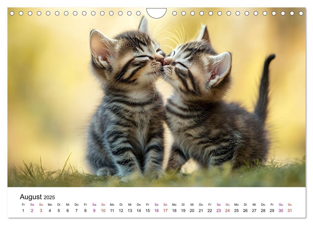 Bild: 9783457218242 | Katzenzauber - Samtpfoten im Jahreslauf (Wandkalender 2025 DIN A4...