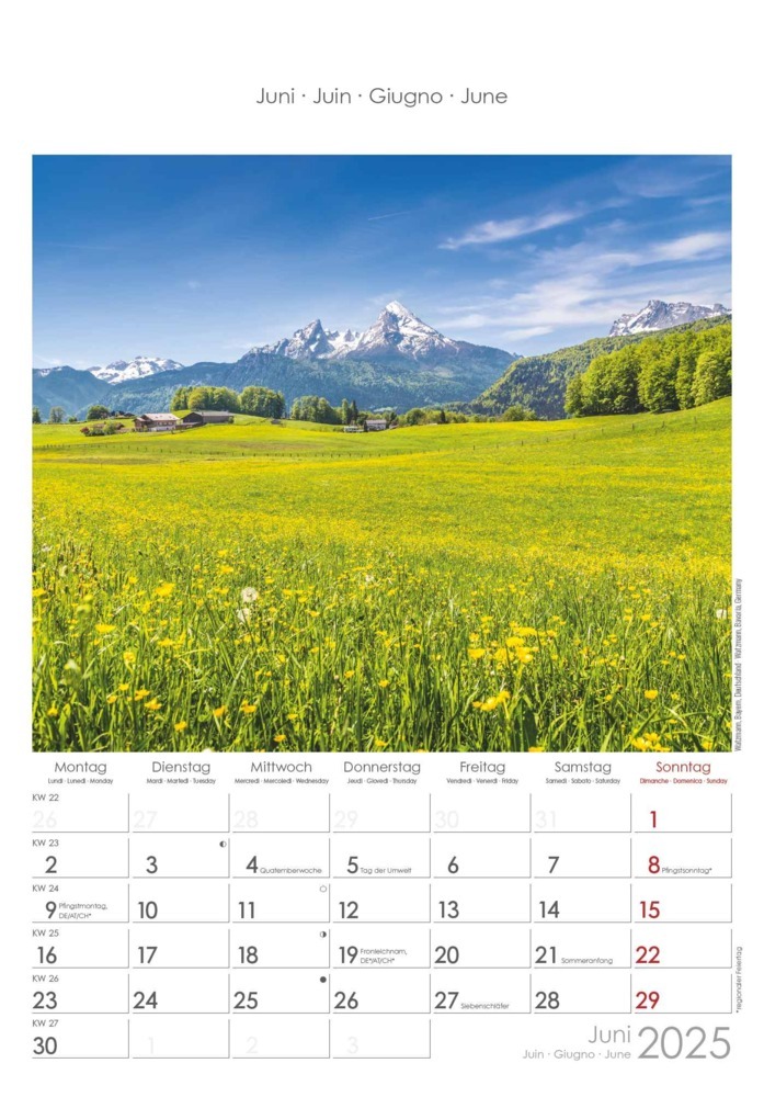 Bild: 4251732341091 | Alpha Edition - Alpen 2025 Bildkalender, 23,7x34cm, Wandkalender...