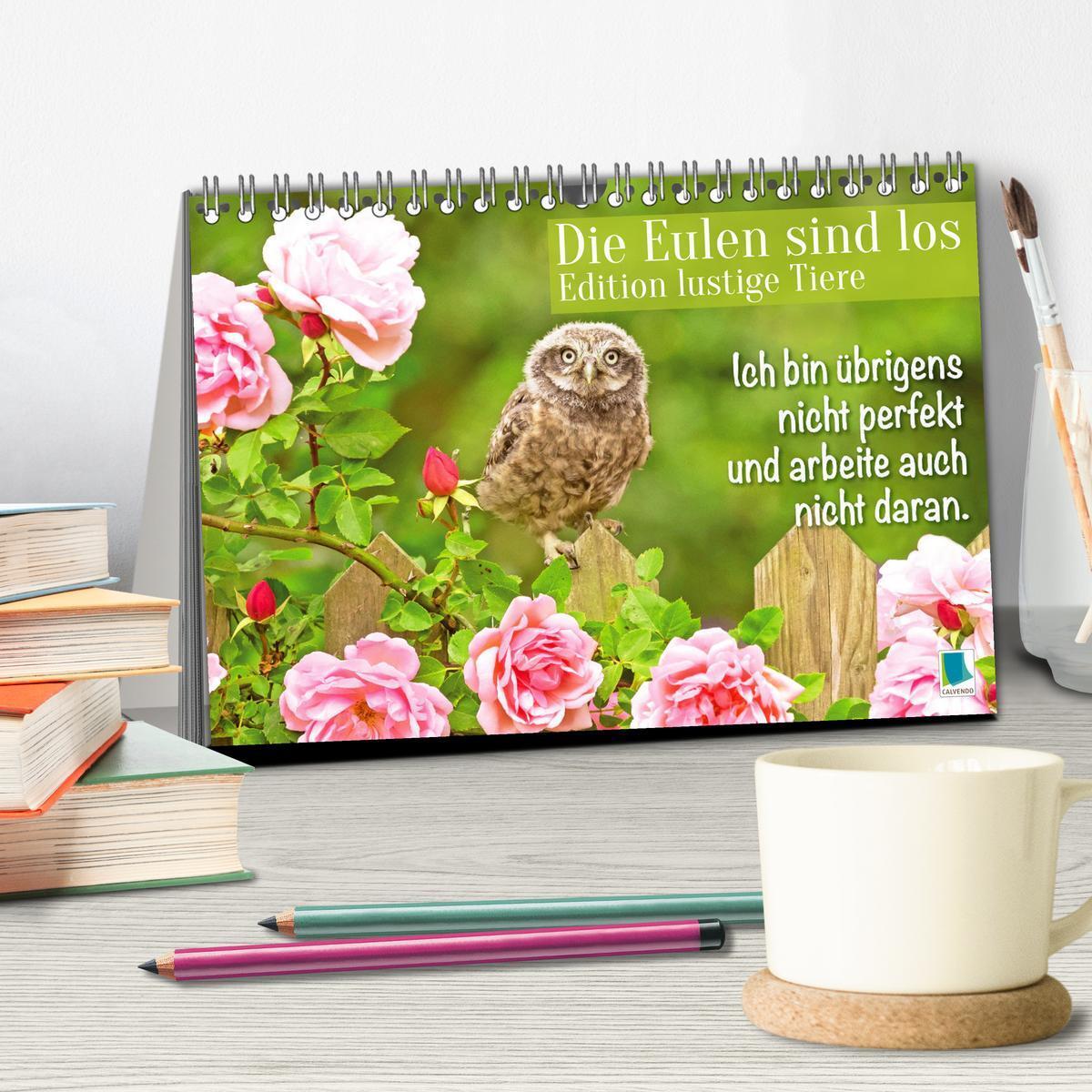 Bild: 9783457179574 | Die Eulen sind los: Edition lustige Tiere (Tischkalender 2025 DIN...