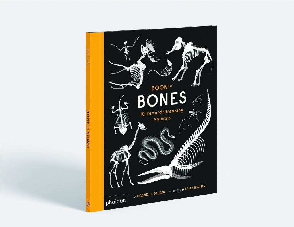 Bild: 9780714875118 | Book of Bones | 10 Record-Breaking Animals | Gabrielle Balkan | Buch