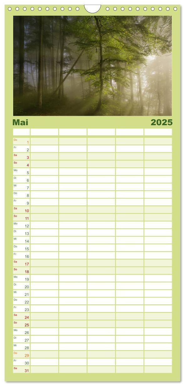 Bild: 9783457117453 | Familienplaner 2025 - Mysterium Wald mit 5 Spalten (Wandkalender,...