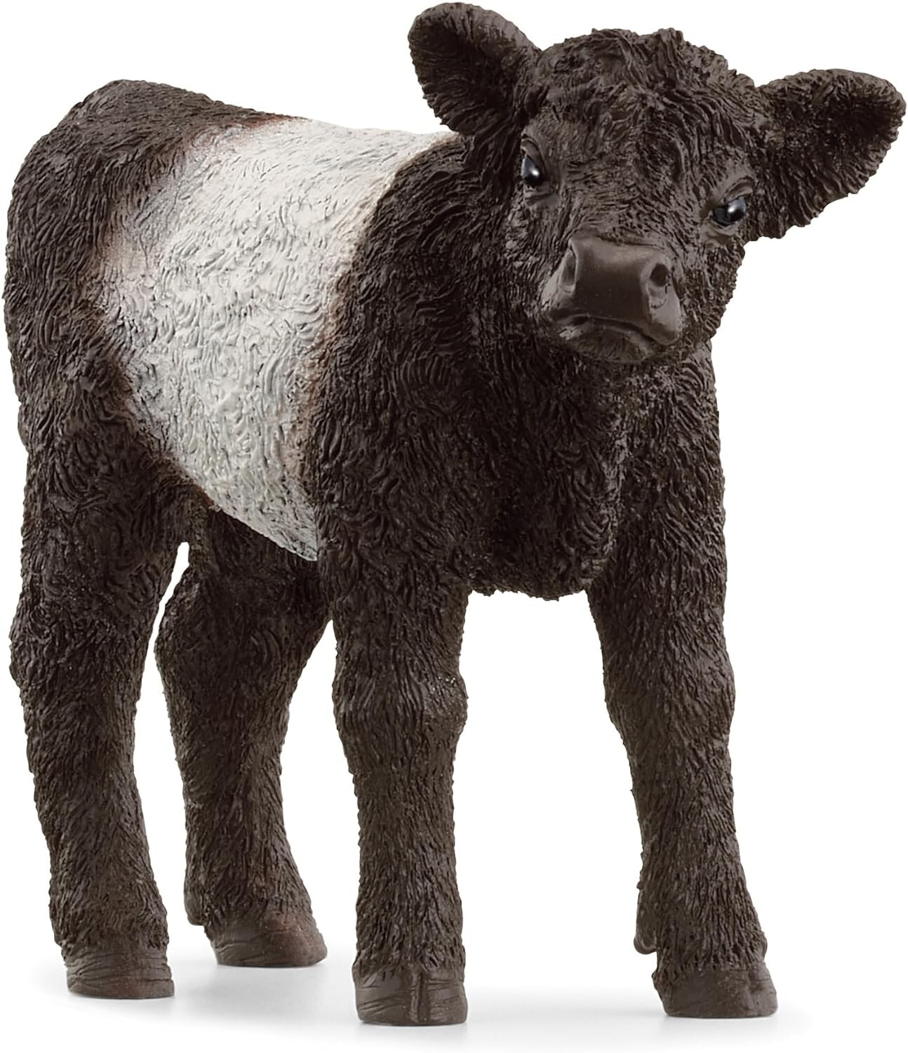 Cover: 4059433789323 | Schleich 13969 - Farm World, Galloway Kalb, Tierfigur, Länge: 8,3 cm