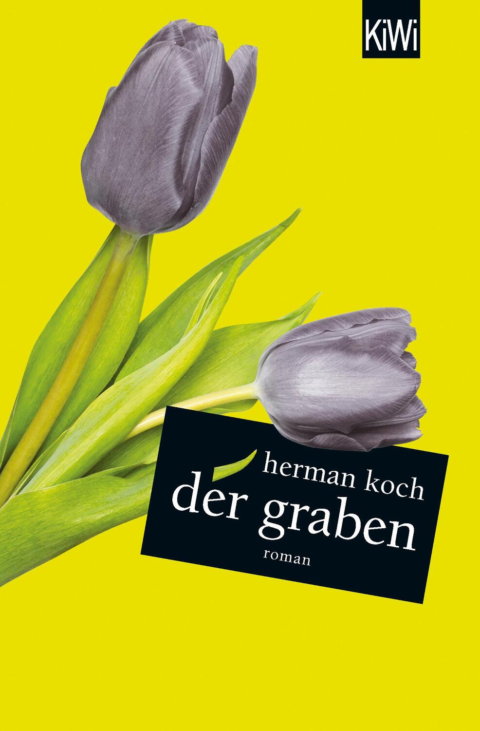 Cover: 9783462053470 | Der Graben | Herman Koch | Taschenbuch | 304 S. | Deutsch | 2020
