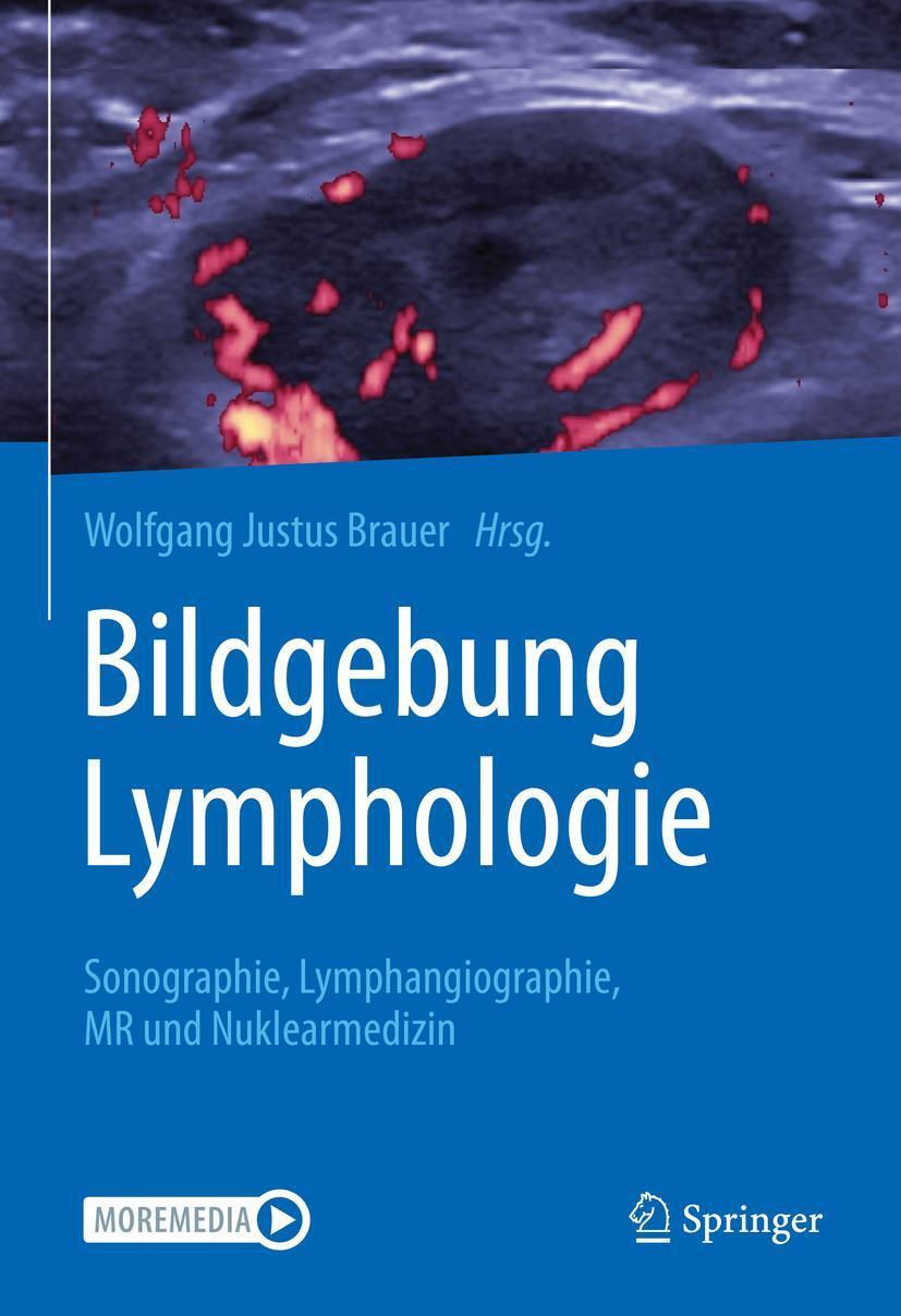 Cover: 9783662625293 | Bildgebung Lymphologie | Wolfgang Justus Brauer | Buch | LIII | 2021