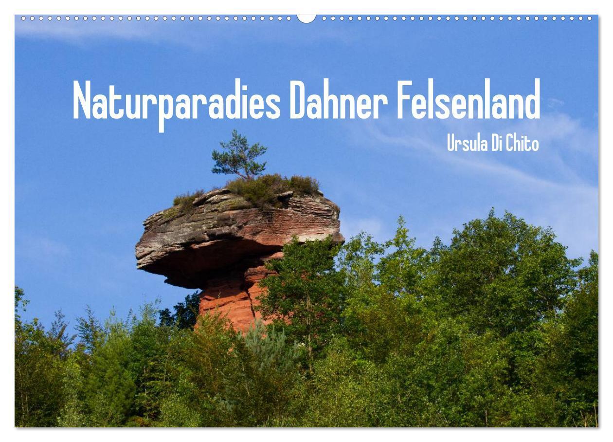 Cover: 9783383474262 | Naturparadies Dahner Felsenland (Wandkalender 2024 DIN A2 quer),...
