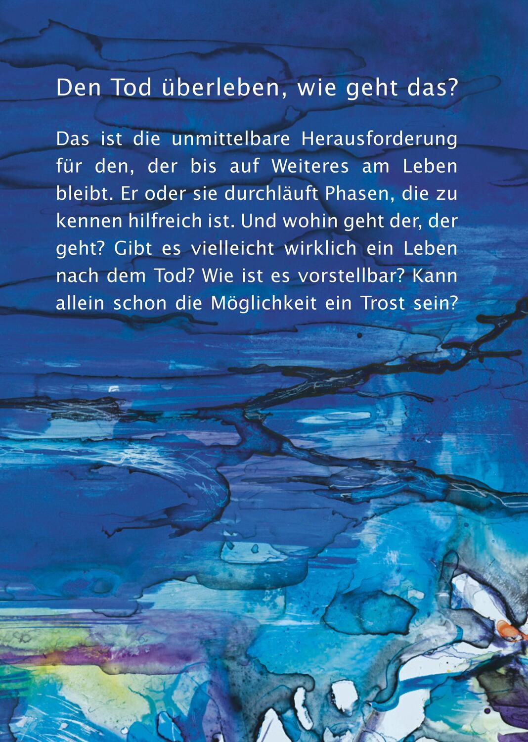 Rückseite: 9783458644231 | Den Tod überleben | Wilhelm Schmid | Buch | 141 S. | Deutsch | 2024