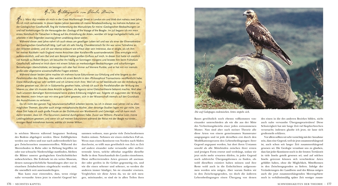 Bild: 9783806235852 | Die Entstehung der Arten | Illustrierte Edition | Charles Darwin | XVI